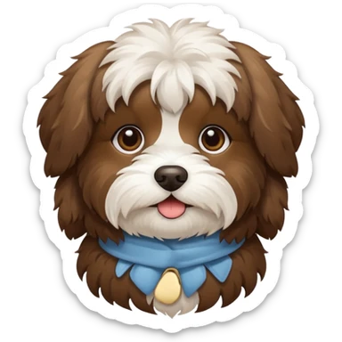 Brown and white Havanese  sticker