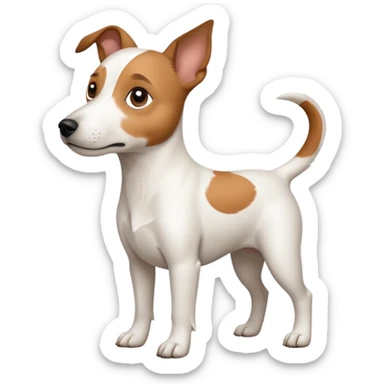 a full body white jack russel looking dog the size of a kelpie with light brown ears and a light brown patch on one eye and a large snout sticker