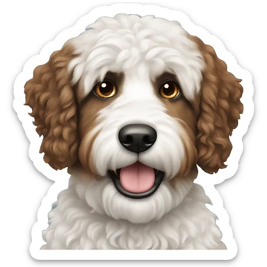 black, white and brown bernadoodle dog  sticker