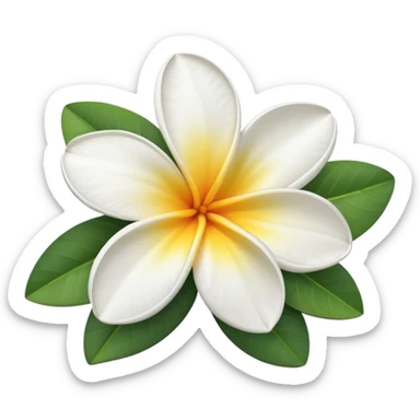 frangipani flower white sticker