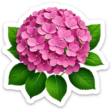 3D Realistic Still life bright pink detailed Hydrangea macrophylla, green leaves sticker