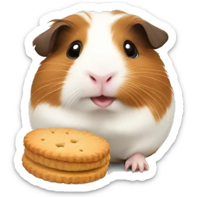 Guinea pig with a biscuit  sticker