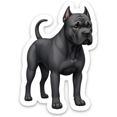 black Cane Corso dog with cropped ears and short tail sticker
