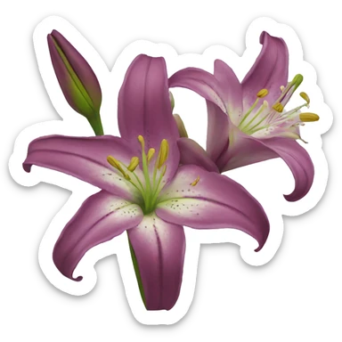 Lillies  sticker