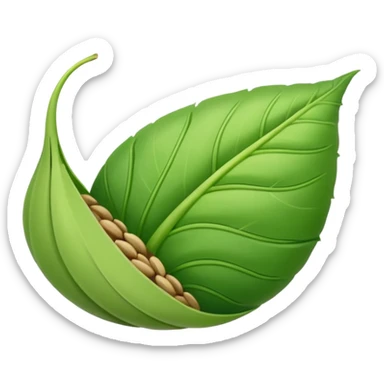 Germinating seed with a folded leaf sticker