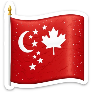 Chinar flag it has 80,000 stars sticker