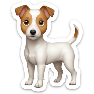 a full body white jack russel looking dog the size of a kelpie with light brown ears and a light brown patch on one eye and a large snout sticker