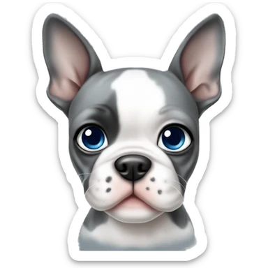 grey and white boston terrier puppy with blue eyes sticker