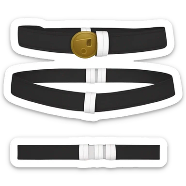 karate belt sticker