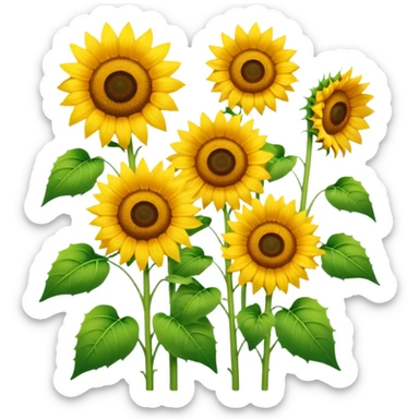 summer season sticker