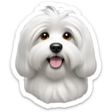coton de tulear, le visage blanc, les poils des oreilles gris foncé. sticker