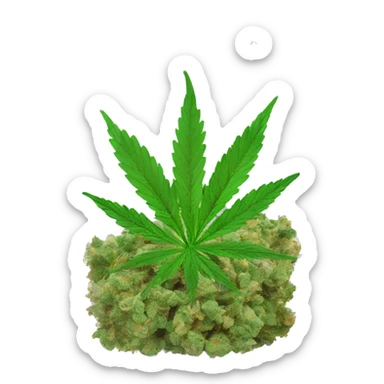 transparent ziplock bag with sativa strain inside sticker