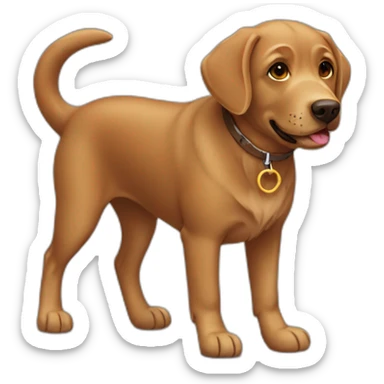 Walk of a brown Labrador dog sticker