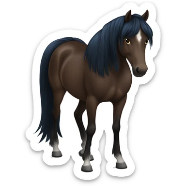 Dark brown horse, black mane and tail, a dark blue rug and halter sticker