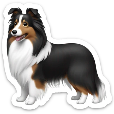 Black and white Sheltie  sticker