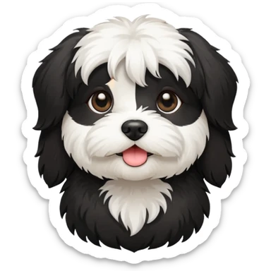 cute and bold havanese female dog black and white sticker