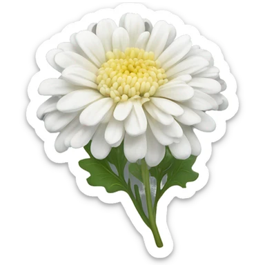 White chrysanthemum ￼ sticker