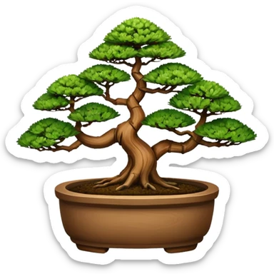 Bonsai plant of dawn redwoods trees 3 of them. In a bonsai pot  sticker