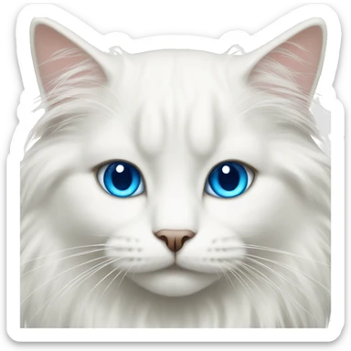 White long haired cat with blue eyes sticker