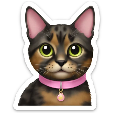 Tortie cat with black base and a little bit of brown fur with light green eyes wearing a pink collar sticker