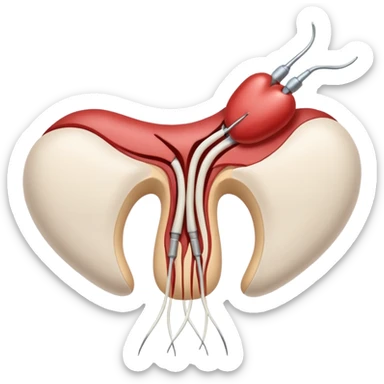 vascular suture sticker