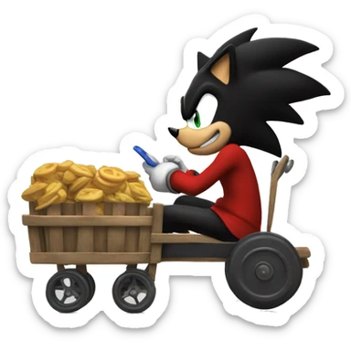 shadow the hedgehog hitting a cart sticker