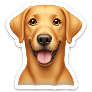 Dog named Olli, orange labrador with happy face sticker