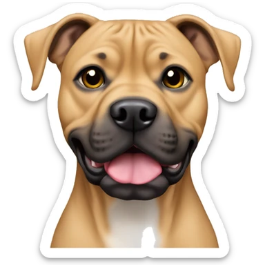 All Tan American Pitbull Mastiff Mixed with Black face sticker