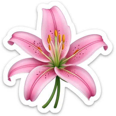 lily flower pink sticker
