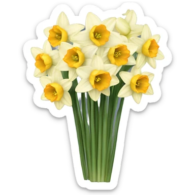 Pretty bouquet of narcissuses  sticker