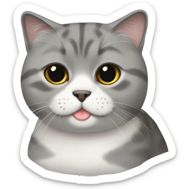 grey scottish fold cat sticker