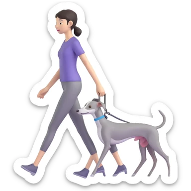 Beautiful Asian girl walking a completely solid grey Italian greyhound with a grey nose, no white markings anywhere, no white on the nose, pure grey dog sticker