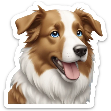 A white and light brown border collie, with one blue eye and one blue and brown  sticker