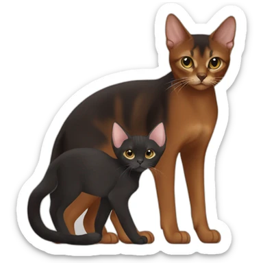 Dark red Abyssinian cat and black kitten with small white speck sticker