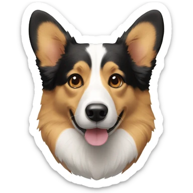 corgi mixed with a border collie black with light brown nose sticker