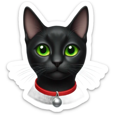 Small black cat wearing red collar with bell sticker