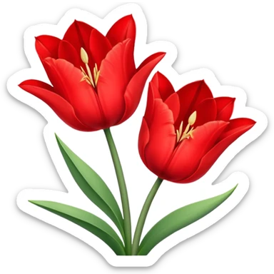 tulip flower with an amaryllis flower sticker