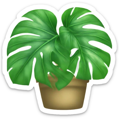 Monstera sticker