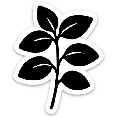 Fresh basil herb with leaves on stems, simple botanical illustration sticker