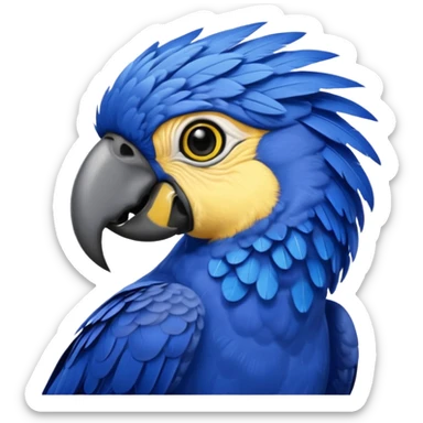 Hyacinth macaw with all blue feathers except for yellow around beak and eyes sticker