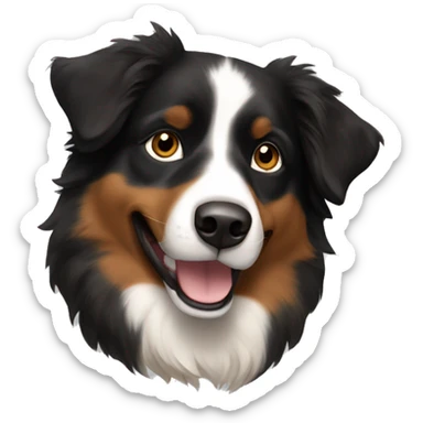 Black, brown Australian shepherd  sticker