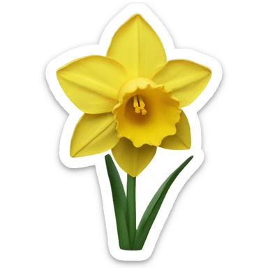 Daffodil  sticker