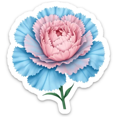 Pastel pink and pastel blue carnation flower sticker