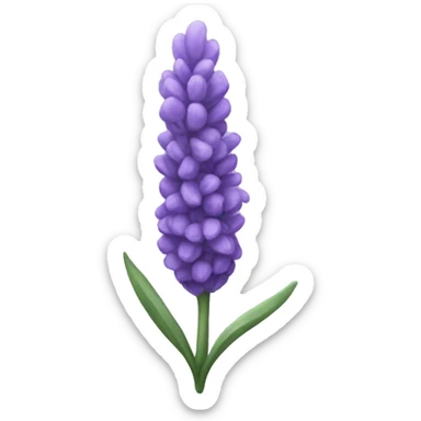 Lavender  sticker