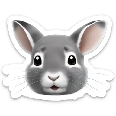 Realistic gray North American pika  sticker