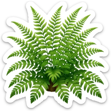A cluster of soft green ferns growing under shaded trees.









































 sticker