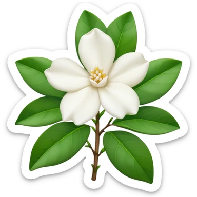 Gardenia blanca sin tantas hojas verdes sticker