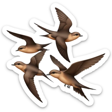 common swift group of 3 in flight sticker