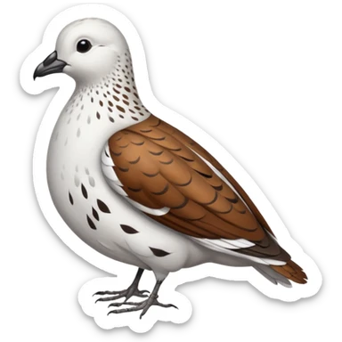 Male Rock Willow Ptarmigan sticker