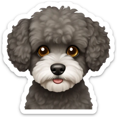 Dog maltipoo dark grey and dark brown fur full body sitting sticker